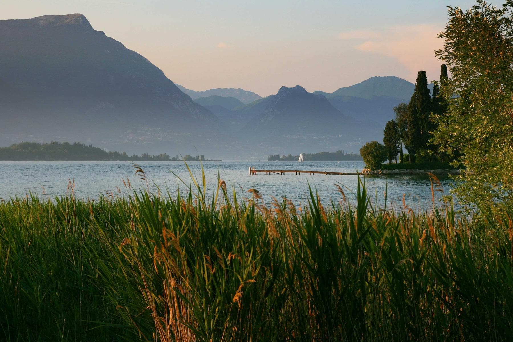 Schilf am Seeufer mit Bergen im Hintergrund